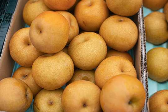 fresh Asian Pears for sale at Market.