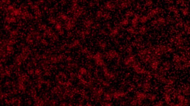 Abstract Background Red Particle Noise Texture Animated Motion Loop