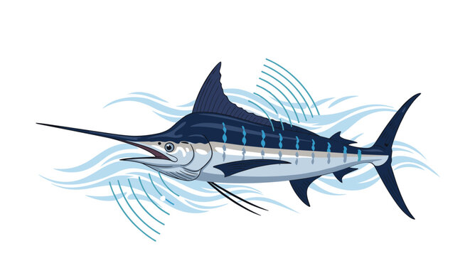 Powerful blue marlin fish leaping out of stylized ocean waves in a dynamic and clean vector illustration design.