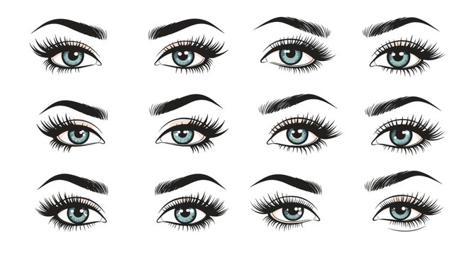 Collection of twelve beautiful female eyes featuring various eyebrow shapes and eyelash styles in a detailed illustration.