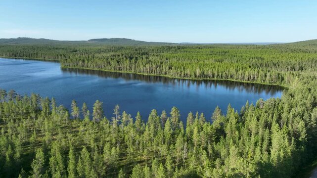 Drone shot of serene lake and bog landscape in Sweden