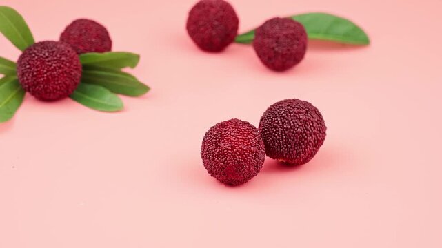 Macro Close-up of Fresh Red Yangmei Chinese Bayberry Rolling and Moving on Pink Background for Food Ads