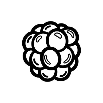Outline drawing of a clustered berry fruit with small individual drupelets resembling a fresh raspberry or blackberry raspberry blackberry delicious vegetarian agriculture