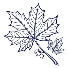 Fototapeta premium Maple Leaf Graphic Symbol 1