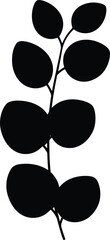 Fototapeta premium Black and white botanical illustration of a delicate branch with rounded leaves