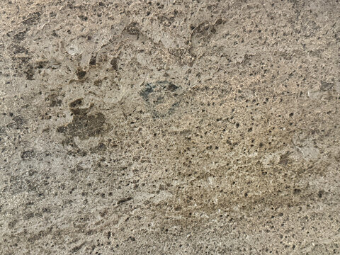 Close up of natural soil grey rough textured paint with open grunge and dirt pattern. Peeled off and corroded texture, Suitable for wall or other panel and backdrop. seamless background.