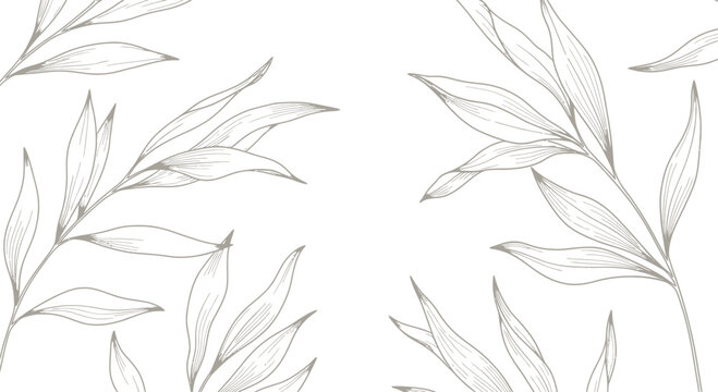 Elegant botanical pattern delicate olive branch illustration in black and white