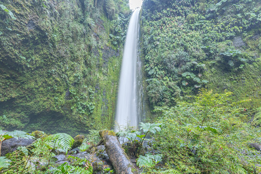 Puerto Octay, Chile - February 22, 2026: Salto las Cascadas is a 50-meter waterfall surrounded by native forest. It is located near the town of Las Cascadas, on the shores of Lake Llanquihue.