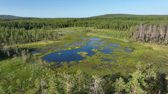 Drone shot of serene lake and bog landscape in Sweden