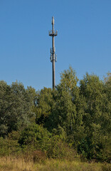 Obraz premium telecom tower above sunny trees on a blue sky in Volkspark Wulheide in Berlin, Germany 