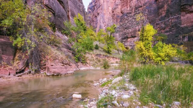 A scenic view of the Virgin River flowing through a narrow canyon in Zion National Park, Utah. The paved trail, known as the Riverside Walk, follows the river as the canyon walls narrow.