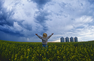 a farmer looks out over his bloom stage canola field with grain storage bins and cumulonimbus  storm clouds in the background, near Carey, Manitoba, Canada © Dave