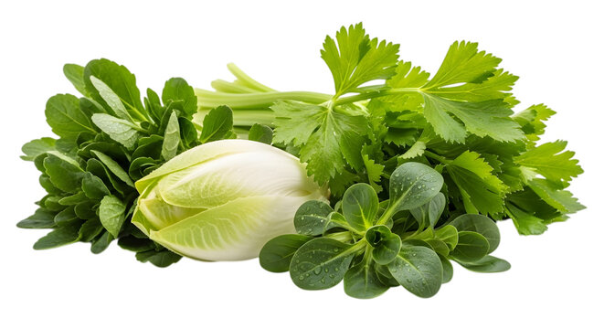 Fresh herbs and lettuce on black background vegetables
