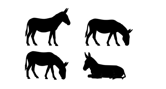 Donkey silhouette set with walking grazing standing and resting poses vector collection