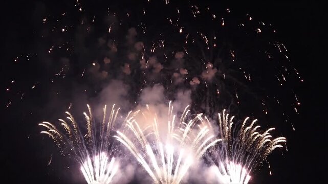 Fireworks exploding in night sky.