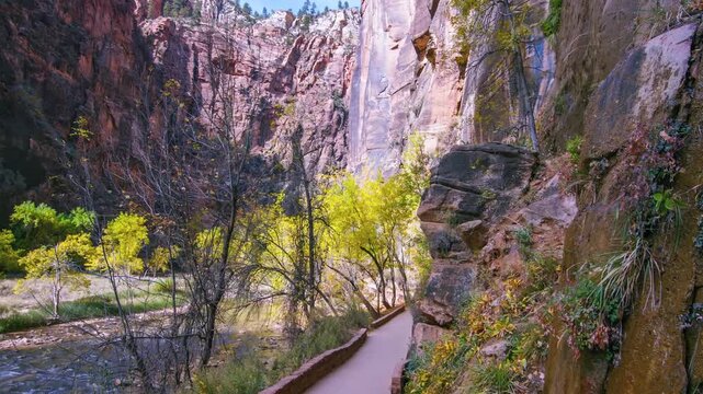 Footage of the scenic and accessible Riverside Walk trail in Zion National Park during the autumn season. The paved path follows the Virgin River, surrounded by towering red sandstone cliffs, lush gre