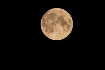 Fototapeta premium Full pink moon on a clear night sky background. Supermoon phase with visible lunar craters.