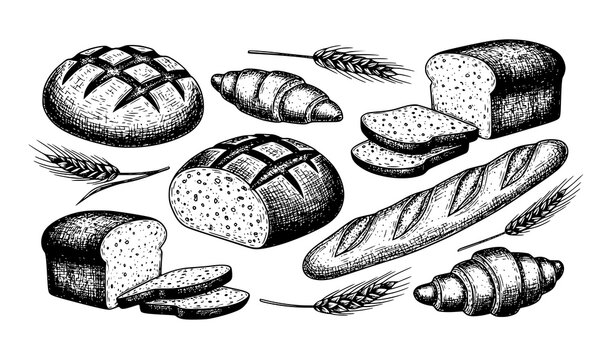 Vintage engraving bread and bakery doodle set hand drawn wheat baked goods vector illustration