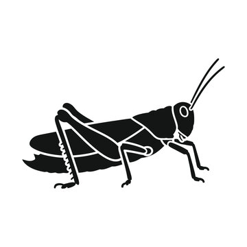 Black silhouette of a grasshopper in profile on a white background, a simple graphic illustration.