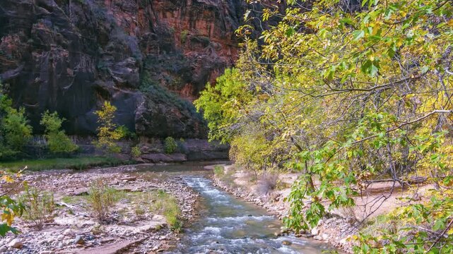Footage of the beautiful autumn colors along the paved Riverside Walk trail, which runs parallel to the Virgin River in Zion National Park.