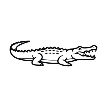 Minimalist crocodile vector illustration, black and white alligator line art icon, predatory reptile profile with open jaws, wild swamp animal mascot for logo design