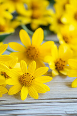 Obraz premium A bouquet of bright yellow flowers arranged on a rustic wooden table, ideal for decorative use or as a symbol of celebration
