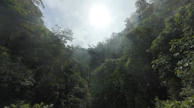Catarata En Costa Rica