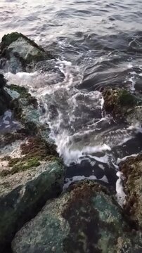 Water flowing over rocks on seascape, Ocean water and corel rocks closeup view video 