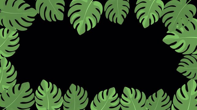 Animated monstera leaves appearing around the screen edges on transparent alpha channel. Tropical frame overlay with copy space in center, perfect for video editing, compositing and decorative scenes.
