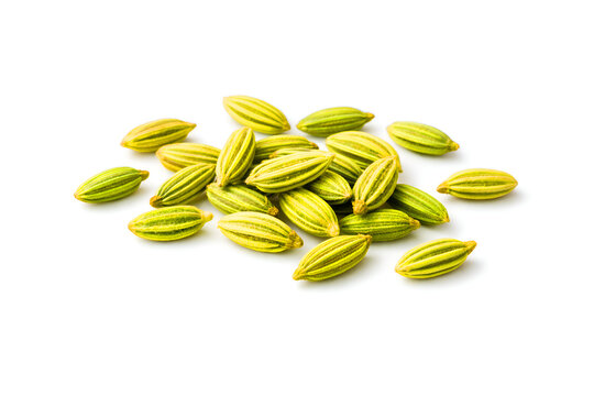 Scattered Fennel Seeds Isolated on Pure White Background