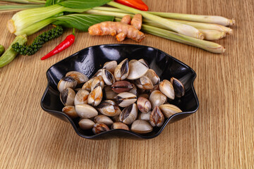 Raw fresh wild clams mollusc © Andrei Starostin