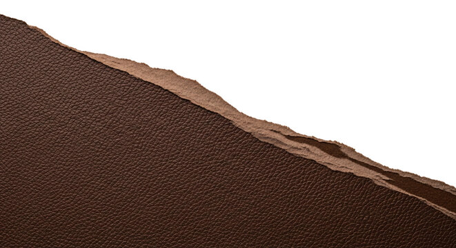 Brown textured leather torn edge on transparent background.