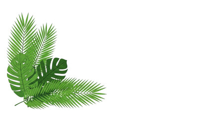 Realistic green palm leaves corner vector illustration © Crafts Home
