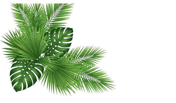 Green palm leaves corner flat vector illustration