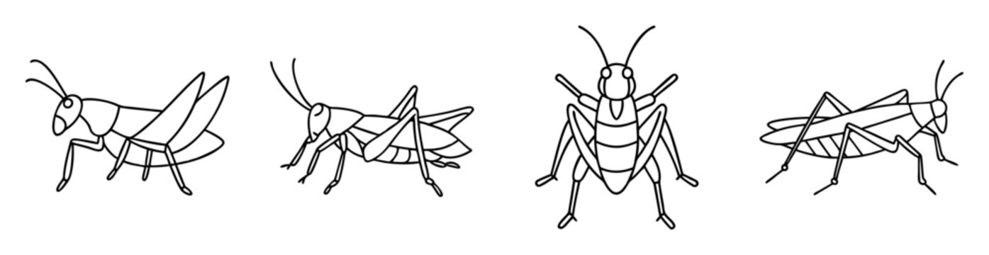 Line art illustration of four grasshoppers in varying poses and perspective