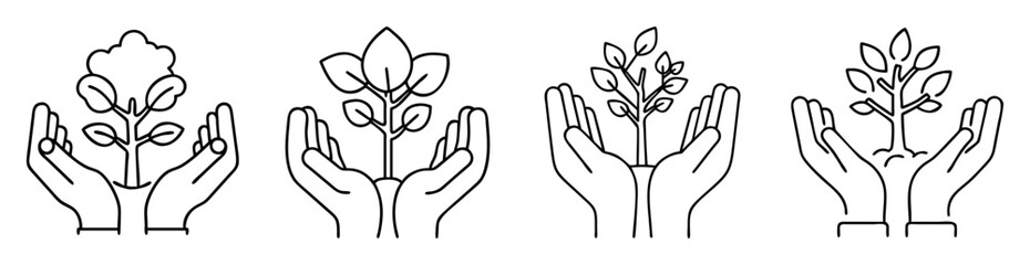 Obraz premium Hands holding small trees seedlings, symbol of care for nature and growth