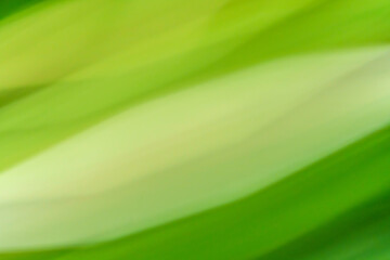 Zielone abstrakcyjne tło z miękkim rozmyciem ruchu. Organiczna kompozycja w odcieniach limonki i bieli, przypominająca naturę. Świeża tekstura idealna do nowoczesnych projektów graficznych. © Henryk Niestrój