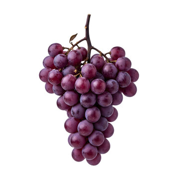 Fresh Grapes Bunch Isolated on White Background, Organic Purple Fruit Close-Up, Healthy Food Concept