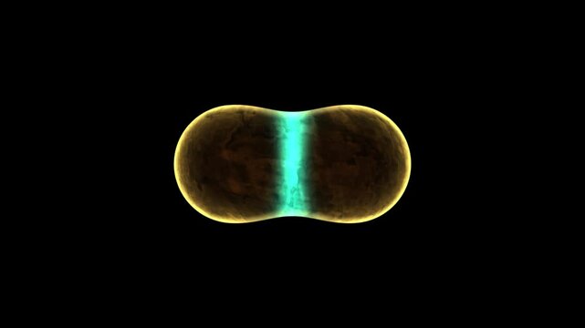 Abstract glowing bacteria or dividing cell rotating on black background