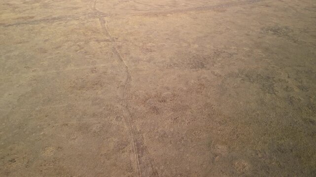 Top-down aerial drone view of the giant ancient Ushtogay Square geoglyph in the Kostanay region. The footage reveals the perfect geometric precision of the figure, composed of 101 circular earth mound