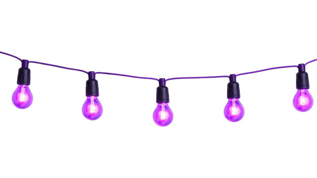 PNG Vibrant purple string lights decoration.