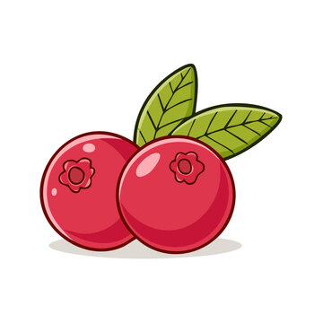 Two bright red cranberries with green leaves in a clean cartoon style.
