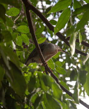 Natureza em curiosidade