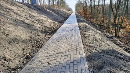 Chodnik przy ścianie lasu © WalDec