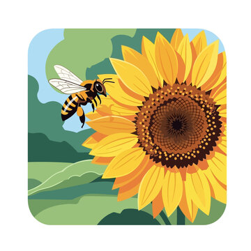 Bee Flying Near Sunflower in Summer.