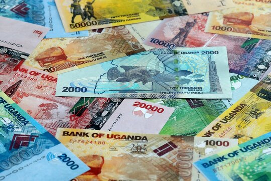 Ugandan shilling money banknotes pile on table. Uganda bills of UGX currency close up