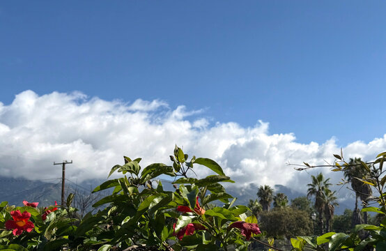 Springtime Landscape in Southern California