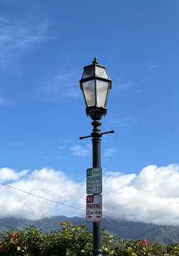 Springtime Landscape in Southern California with Street Lantern
