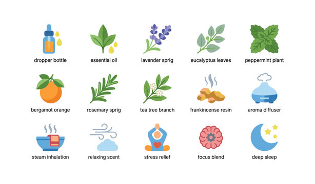Aromatherapy elements: essential oils, herbs, and relaxation symbols for wellbeing