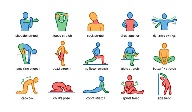 Illustrated stretching guide with 15 colorful exercise poses